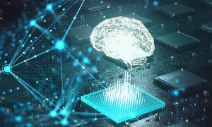 Distinctive Features of Deep Learning