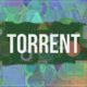 Best Torrent websites in 2020