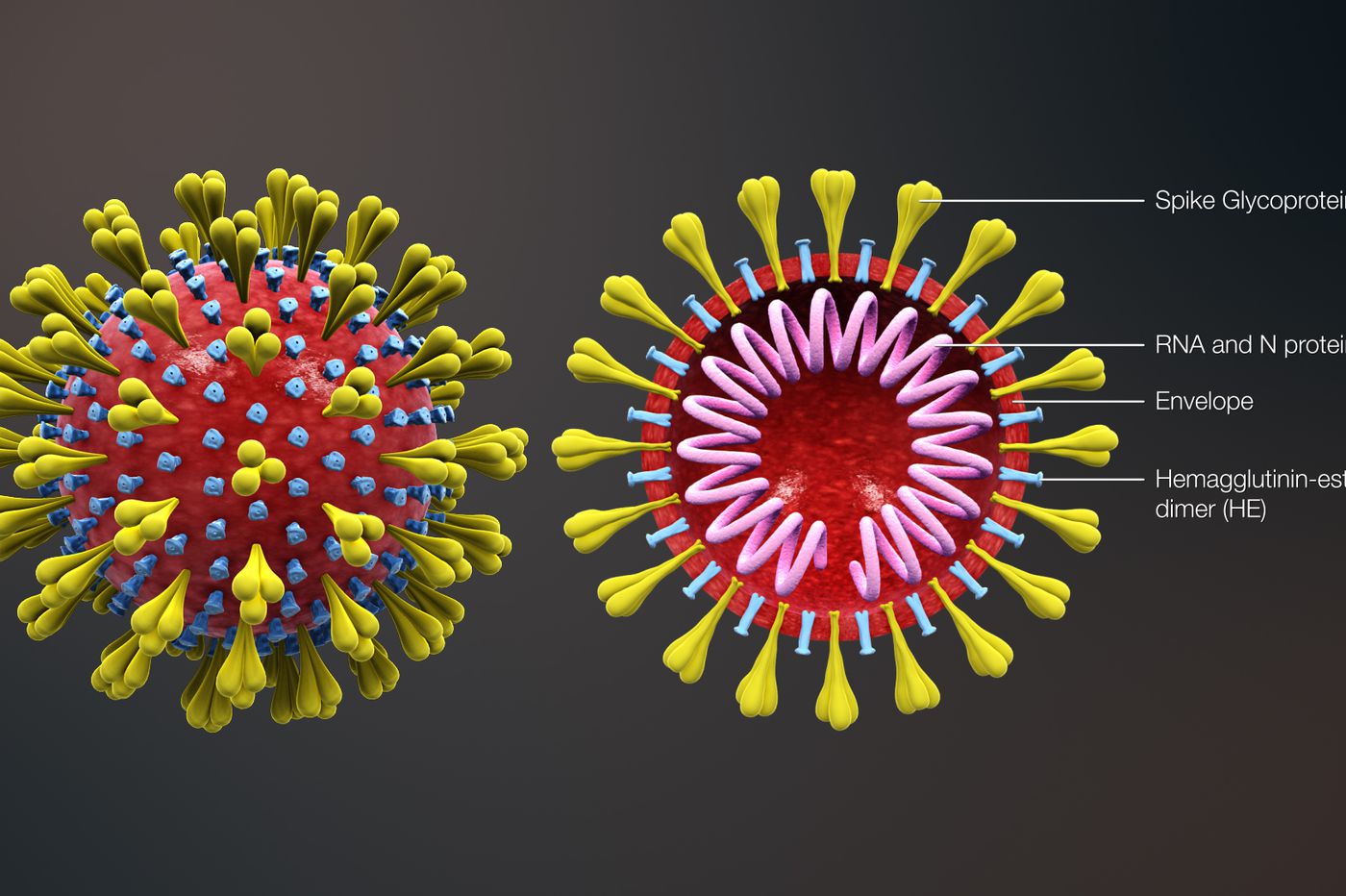 Coronavirus Outbreak USA