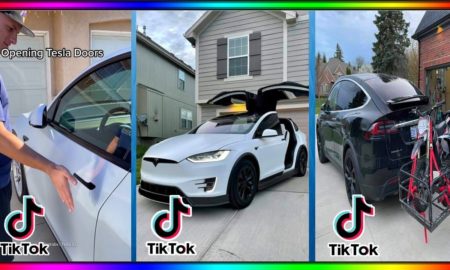 Tiktok and Tesla