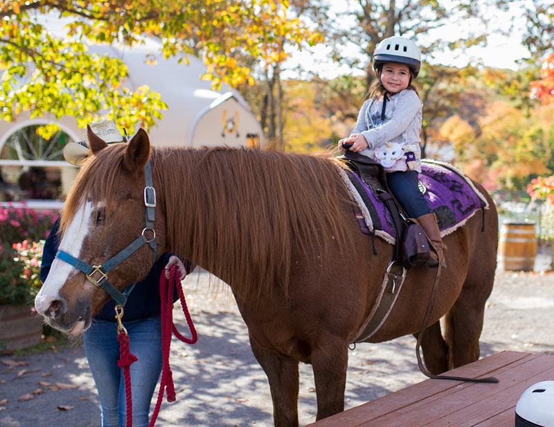 Rocking Horse Ranch 