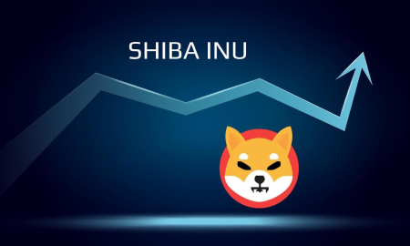 Shiba Inu Coin