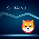 Shiba Inu Coin