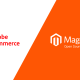 Magento Open Source and Adobe Commerce