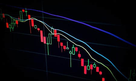 Fundamental factors of price movements