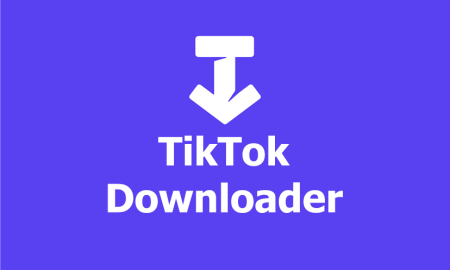 ssstiktok video downloader