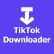 ssstiktok video downloader