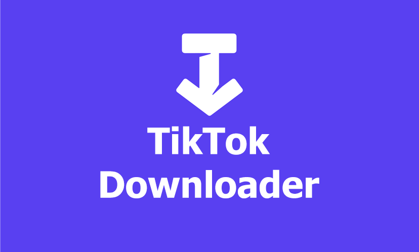 ssstiktok video downloader