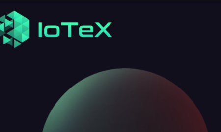 Significance of IoTeX in the Development of Smart Cities