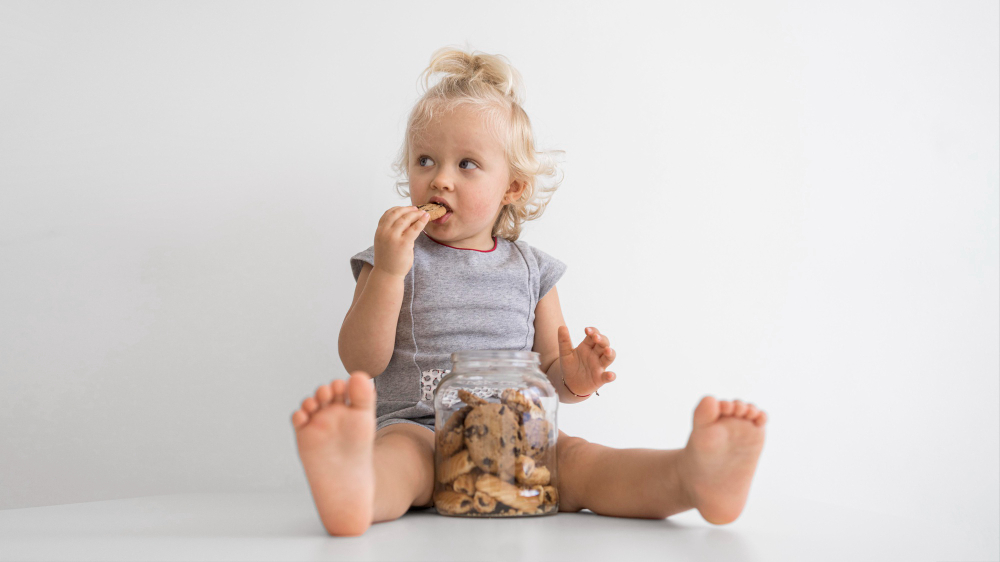 Things To Consider When Choosing a Biscuit For Your Toddler