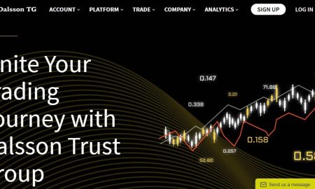 Dalsson Trust Group Review