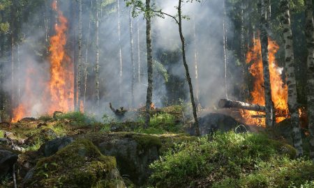 Firefighting Robots