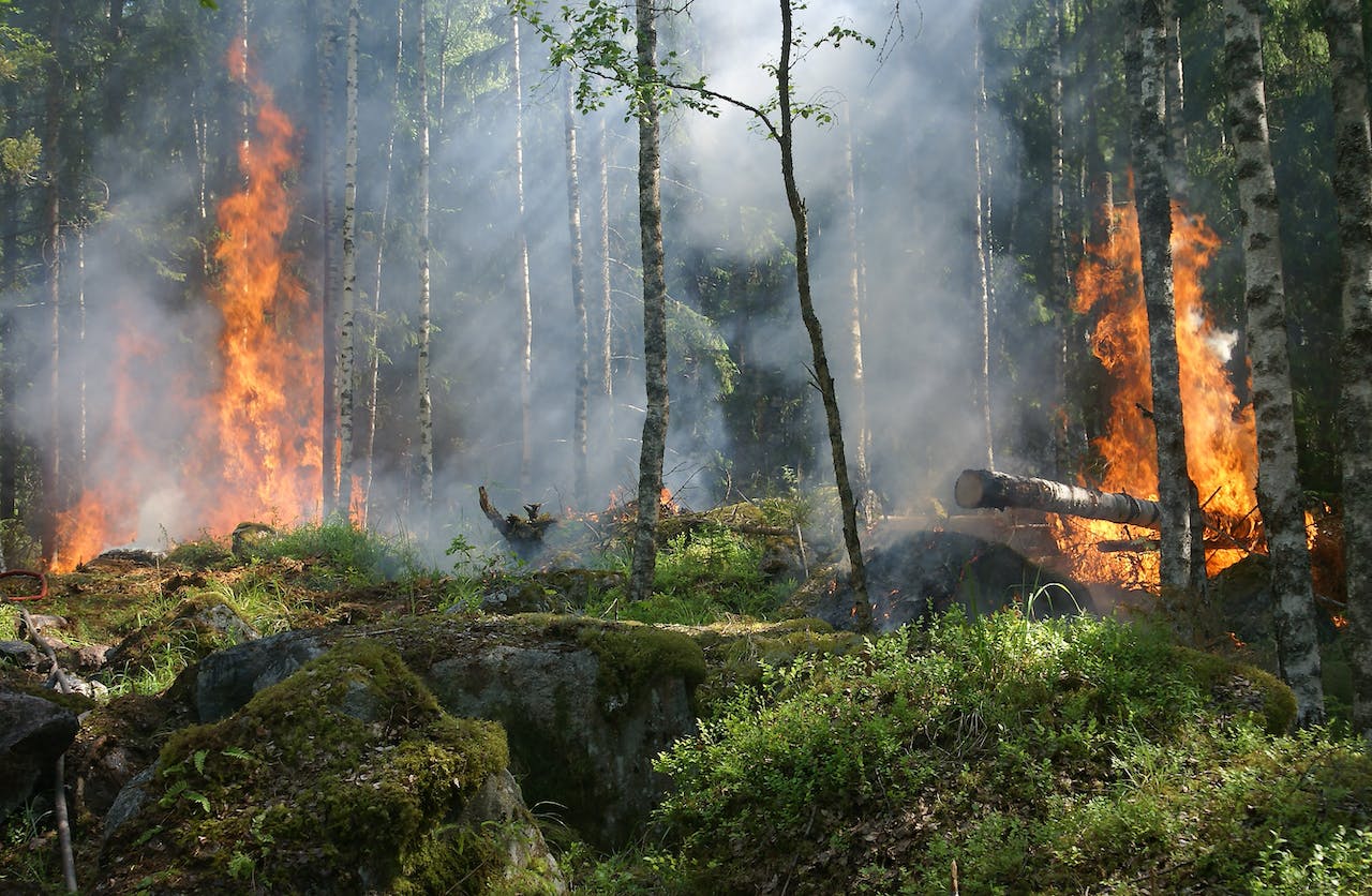 Firefighting Robots