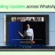 WhatsApp Video Call Features