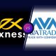 AvaTrade vs Exness Broker Comparison