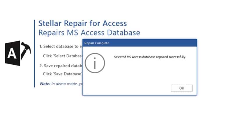 Database Repair Process