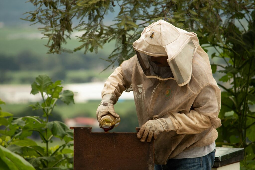 When Flea Pest Control Spray for House Is Enough